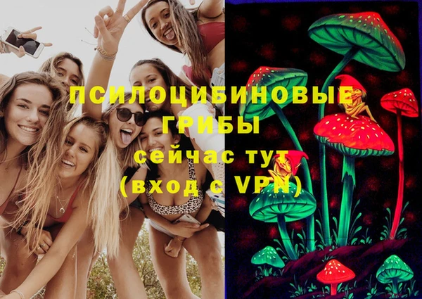 дурь Абаза