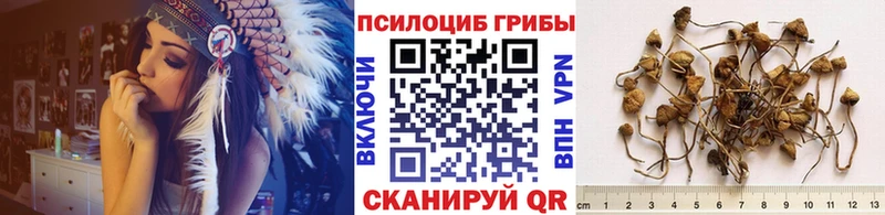 Галлюциногенные грибы Magic Shrooms  Ивантеевка 