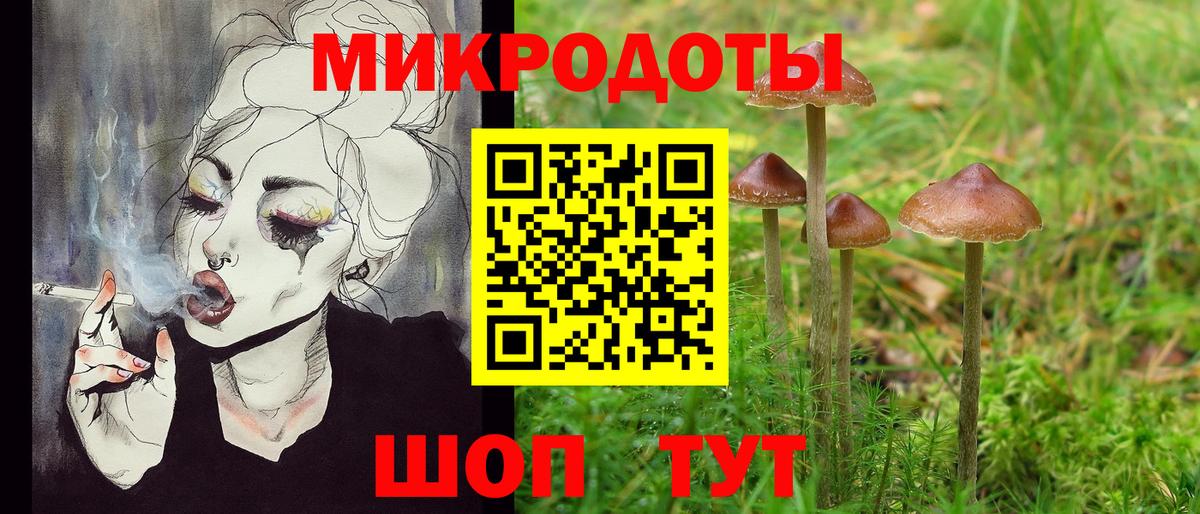 Ивантеевка  как найти   Псилоцибиновые грибы Magic Shrooms  Вход с VPN  Псилоцибиновые грибы Psilocybine cubensis 